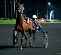 hippodrome2014 (5).jpg